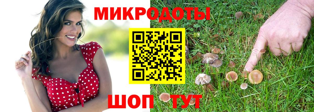 Галлюциногенные грибы мухоморы  Галлюциногенные грибы Psilocybine cubensis  Ачхой-Мартан  Вход с VPN 