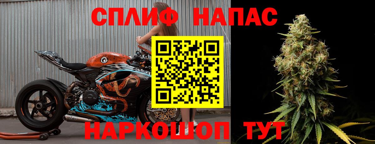 Конопля план Ачхой-Мартан